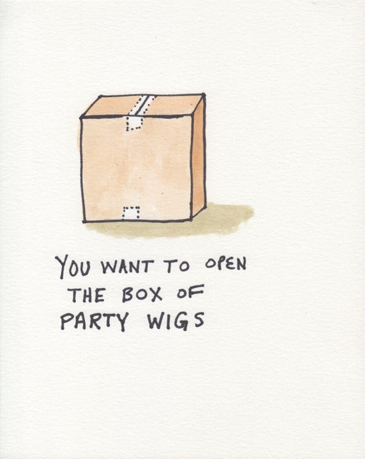 #5 (Box of Wigs)
